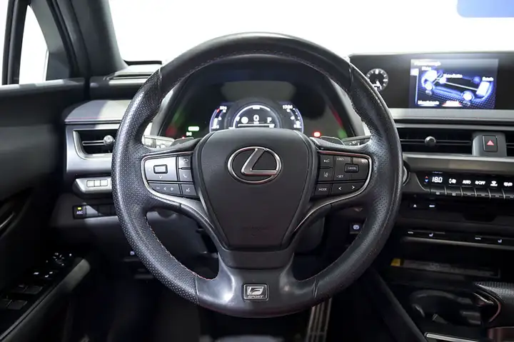 Lexus UX 250h F SPORT 2022, foto 26