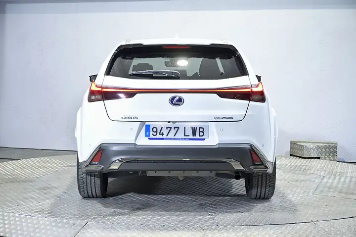 Lexus UX 250h F SPORT 2022, foto 13