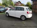 Volkswagen Golf Plus Sportline / Klima / Sitzheizung / ALU / TÜV neu Weiß - thumbnail 13