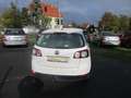 Volkswagen Golf Plus Sportline / Klima / Sitzheizung / ALU / TÜV neu Weiß - thumbnail 12