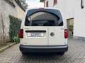 Volkswagen Caddy 1.4 TGI (METANO) Business van BELLISSIMO !! Bianco - thumbnail 5