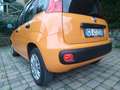 Fiat Panda 1.2 Pop 5 POSTI - OK PER NEOPATENTATI Arancione - thumbnail 6