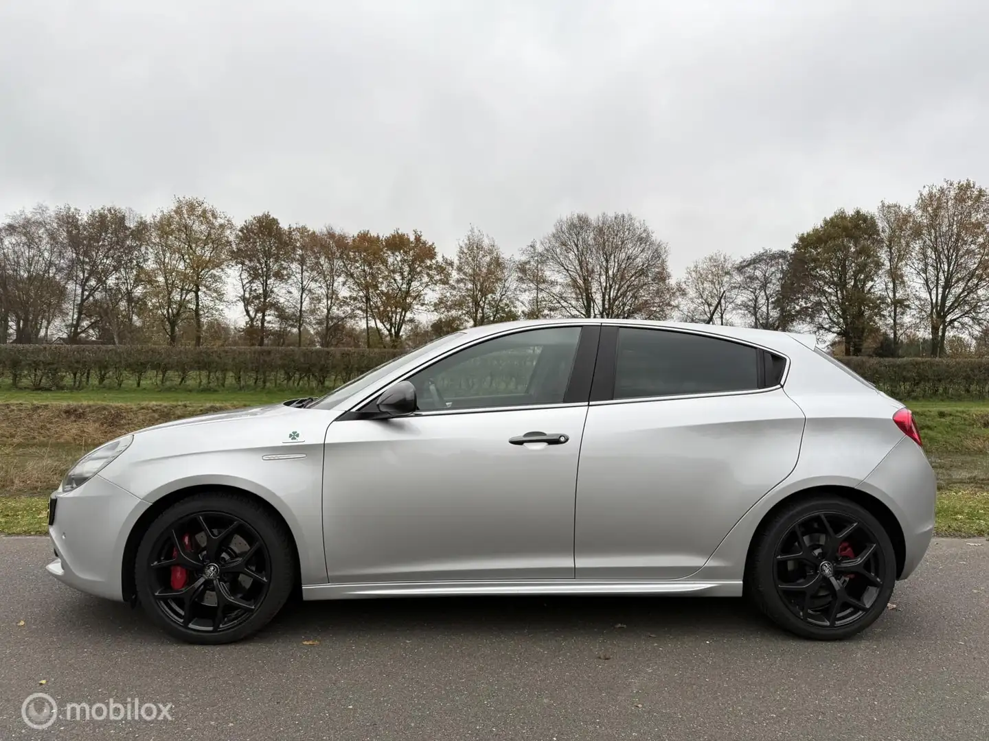 Alfa Romeo Giulietta 1.7 TBi Quadrifoglio Verde Grijs - 2