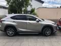 Lexus NX 300h NX 300h Executive Line Silber - thumbnail 1