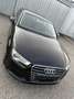 Audi A3 A3 1,6 TDI Intense Intense Schwarz - thumbnail 15