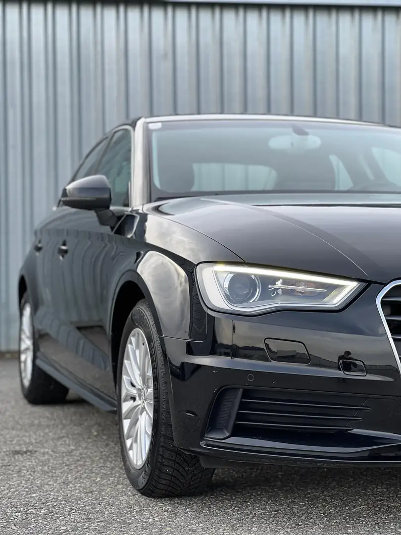Audi A3 A3 1,6 TDI Intense Intense Schwarz - 2