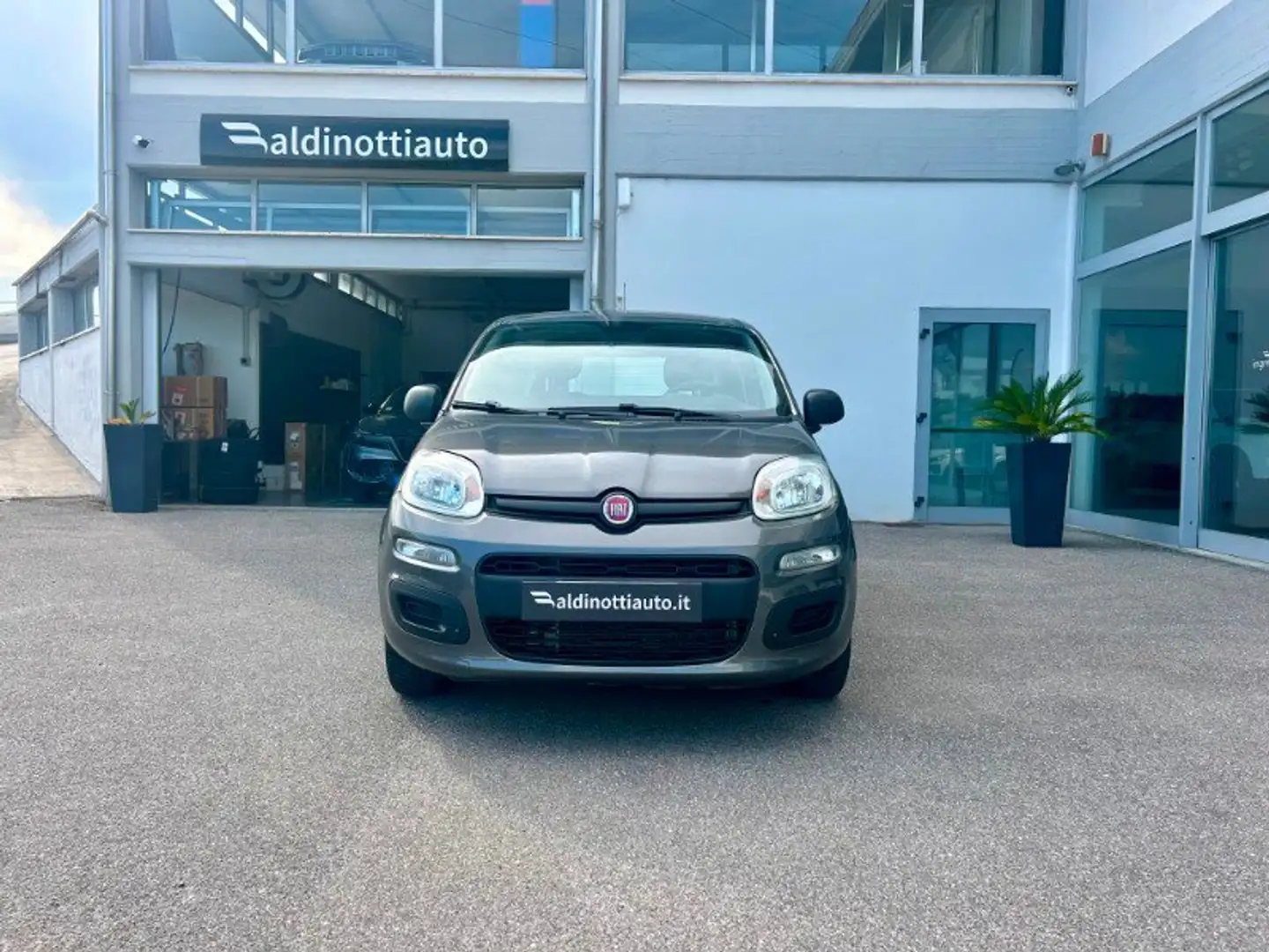 Fiat Panda Panda 1.2 Easy - 2