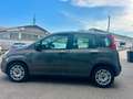 Fiat Panda Panda 1.2 Easy - thumbnail 8