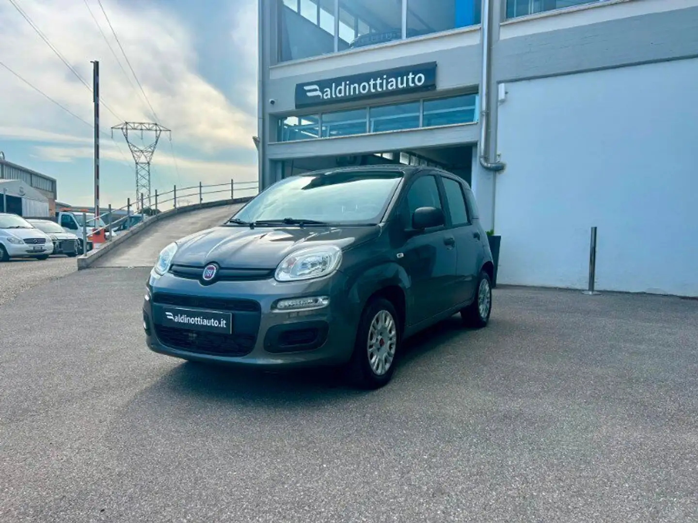 Fiat Panda Panda 1.2 Easy - 1