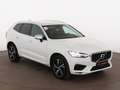 Volvo XC60 D4 R Design 4x4 Aut LED HEAD-UP AHK RADAR Weiß - thumbnail 4