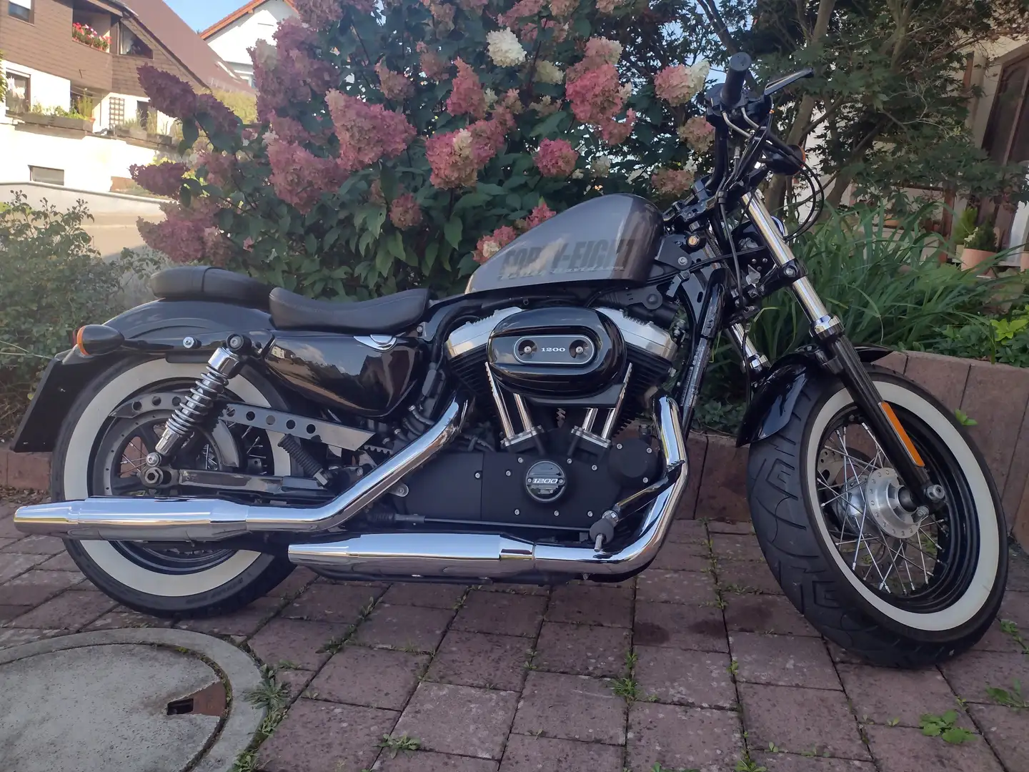 Harley-Davidson Sportster Forty Eight Gris - 2