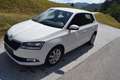 Skoda Fabia Ambition 1,0 WIE NEU aktion Weiß - thumbnail 8