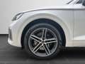 Audi SQ5 SUV SQ5 TDI 251(341) kW(PS) tiptronic Weiß - thumbnail 8