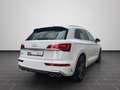 Audi SQ5 SUV SQ5 TDI 251(341) kW(PS) tiptronic Weiß - thumbnail 2