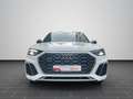 Audi SQ5 SUV SQ5 TDI 251(341) kW(PS) tiptronic Weiß - thumbnail 5