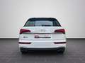 Audi SQ5 SUV SQ5 TDI 251(341) kW(PS) tiptronic Weiß - thumbnail 6