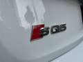 Audi SQ5 SUV SQ5 TDI 251(341) kW(PS) tiptronic Weiß - thumbnail 16