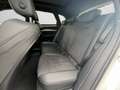 Audi SQ5 SUV SQ5 TDI 251(341) kW(PS) tiptronic Weiß - thumbnail 14