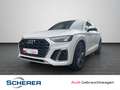 Audi SQ5 SUV SQ5 TDI 251(341) kW(PS) tiptronic Weiß - thumbnail 1