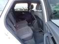 Audi Q5 40 TDI mhev quattro S tronic S line plus Bianco - thumbnail 9