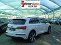 Audi Q5 40 TDI mhev quattro S tronic S line plus Bianco - thumbnail 4
