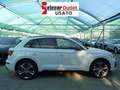 Audi Q5 40 TDI mhev quattro S tronic S line plus Bianco - thumbnail 3