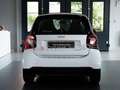 smart forTwo 1.0 Passion 71 CV *AUTOMATICA Bianco - thumbnail 5