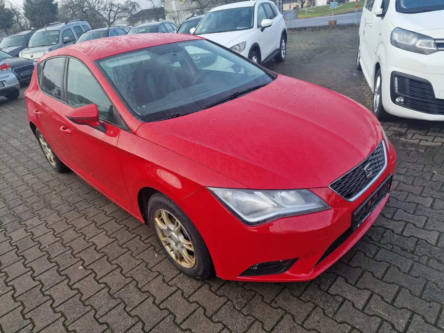 SEAT Leon Reference Rot - 2