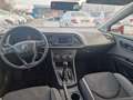 SEAT Leon Reference Rot - thumbnail 9
