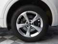 Audi Q5 Quattro 2.0 TDI 190 DESIGN LUXE A SAISIR Blanco - thumbnail 32