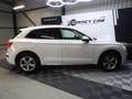 Audi Q5 Quattro 2.0 TDI 190 DESIGN LUXE A SAISIR Weiß - thumbnail 18