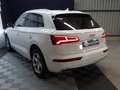 Audi Q5 Quattro 2.0 TDI 190 DESIGN LUXE A SAISIR Weiß - thumbnail 4