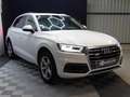 Audi Q5 Quattro 2.0 TDI 190 DESIGN LUXE A SAISIR Weiß - thumbnail 2