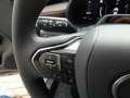 Lexus LBX Hybrid Elegant +LEDER+Elektrische koffer+GSM lader Grijs - thumbnail 19