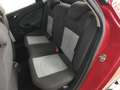 SEAT Ibiza 1.2 Tsi Reference 85 Rojo - thumbnail 12