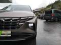 Hyundai TUCSON Plug-In Hybrid Allrad 1,6 T-GDI Braun - thumbnail 18