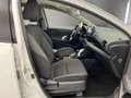 Toyota Yaris Berlina Automático de 5 Puertas Blanco - thumbnail 19