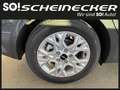 Kia Ceed / cee'd ceed 1,0 T-GDI GPF Titan P1 - Paket Titan Gris - thumbnail 5