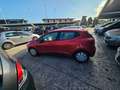 Renault Clio 1.5 dCi 8V 75CV 5 porte Live Rosso - thumbnail 6