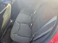 Renault Clio 1.5 dCi 8V 75CV 5 porte Live Rosso - thumbnail 12