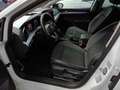 Volkswagen Golf 1.5 TSI GOAL AHK NAVI PDC SITZHZG KLIMA Weiß - thumbnail 3