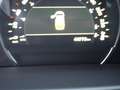 Kia Sorento 2.2 CRDi AWD Aut. Platinum Edition 7 Sitzer Negro - thumbnail 10