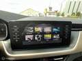 Skoda Kamiq 1.0 TSI Business Edition Grijs - thumbnail 12