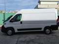 Fiat Ducato 35 MH2 2.3 MJ FURG. P.MEDIO TETTO ALTO 3 PTI-2020 Bianco - thumbnail 6