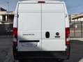 Fiat Ducato 35 MH2 2.3 MJ FURG. P.MEDIO TETTO ALTO 3 PTI-2020 Bianco - thumbnail 4