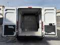 Fiat Ducato 35 MH2 2.3 MJ FURG. P.MEDIO TETTO ALTO 3 PTI-2020 Bianco - thumbnail 16