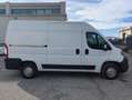 Fiat Ducato 35 MH2 2.3 MJ FURG. P.MEDIO TETTO ALTO 3 PTI-2020 Bianco - thumbnail 2