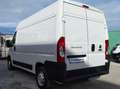 Fiat Ducato 35 MH2 2.3 MJ FURG. P.MEDIO TETTO ALTO 3 PTI-2020 Bianco - thumbnail 5