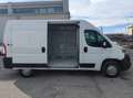 Fiat Ducato 35 MH2 2.3 MJ FURG. P.MEDIO TETTO ALTO 3 PTI-2020 Bianco - thumbnail 14