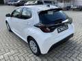 Toyota Yaris 1,5 Hybrid City AKTION Weiß - thumbnail 6